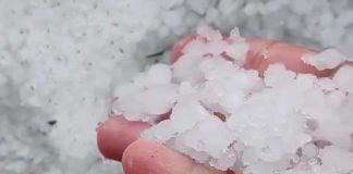 Violenta grandinata nelle campagne di Andria, l’allarme di Coldiretti