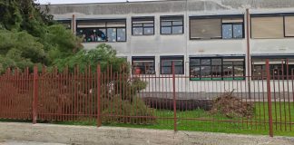 Maltempo, albero cade nei giardini della scuola “Don Tonino Bello”