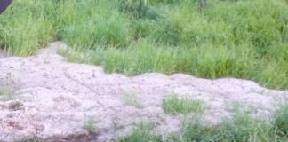 Grandinata in zona Castel del Monte, il comune accoglie segnalazioni di danni