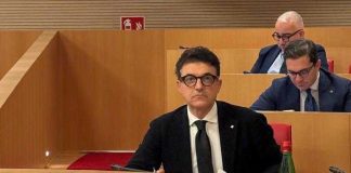 Cinghiali e ambulanti, Vurchio (IV Commissione): «Basta emergenze, trasformiamo criticità in risultati»