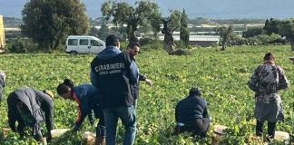 Sicurezza sul lavoro, 13 aziende sospese nel Barese e nella BAT: sanzioni per 450mila euro