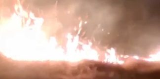 Fiamme nel quartiere Camaggio ad Andria
