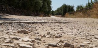 La rabbia degli agricoltori per un tratto dissestato sulla strada comunale San Francesco