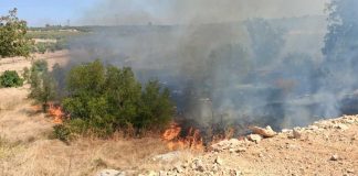 Vasto incendio in contrada San Vittore, scampato pericolo per i fabbricati
