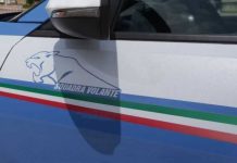 Rapina in una struttura ricettiva nei pressi di Castel del Monte