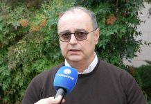 Cambiale olivicola e via alla campagna, Losito: «Serve rapidità e decreti attuativi»