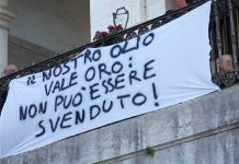 Crisi olivicola e dei trasporti: il consiglio di Andria approva due ordini del giorno