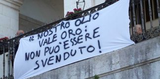 Crisi olivicola e dei trasporti: il consiglio di Andria approva due ordini del giorno