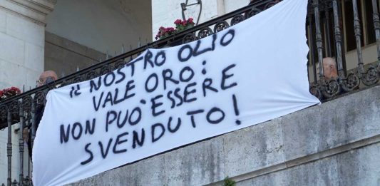 Crisi olivicola e dei trasporti: il consiglio di Andria approva due ordini del giorno