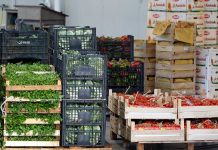 Caro vita, perchè il prezzo dell’ortofrutta cresce? Dal trasporto ai pacchi passando per lavoro, pedane e tasse