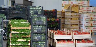 Caro vita, perchè il prezzo dell’ortofrutta cresce? Dal trasporto ai pacchi passando per lavoro, pedane e tasse