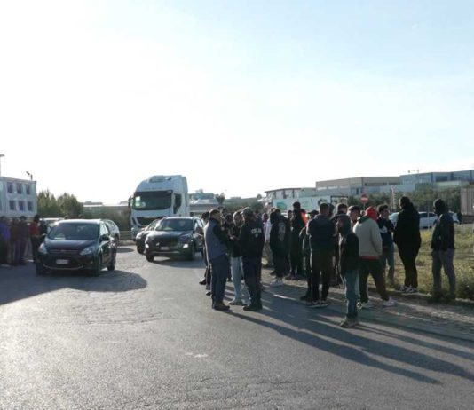 La protesta: olive sversate sulla tangenziale ad Andria, studenti ed agricoltori in strada a Corato