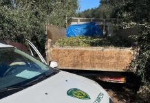 Altro furto di olive sventato ad Andria: recuperato camion con 15 quintali